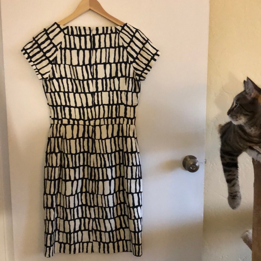 J Crew dress